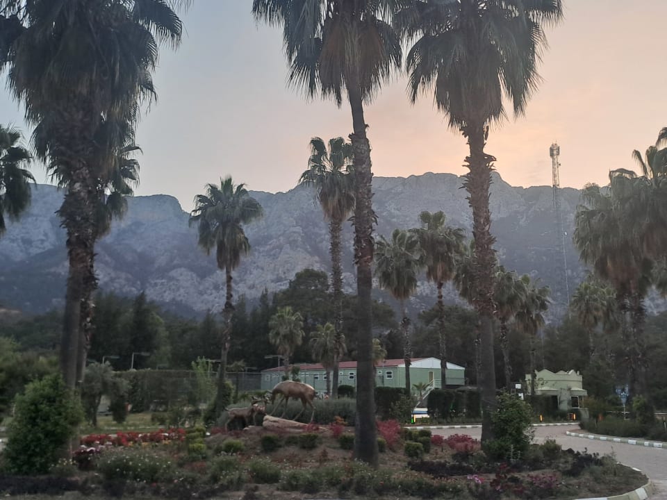 Gartenanlage Ma Biche Kemer by Werde Hotels