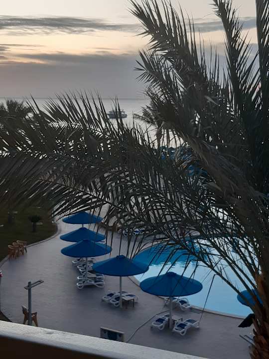 Pool Beach Albatros Resort