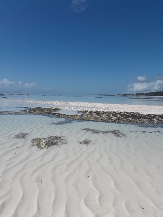 Strand Neptune Village Beach Resort & Spa