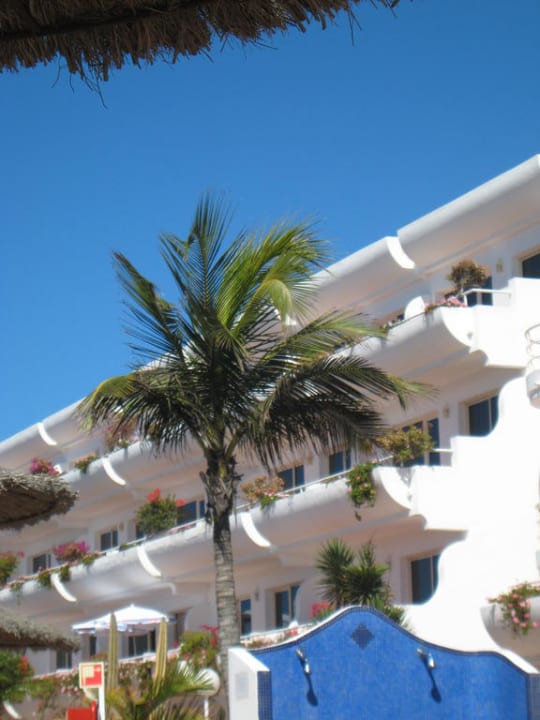 Von der Liege am Pool aus die Zimmer fotografiert allsun App.-Hotel Barlovento