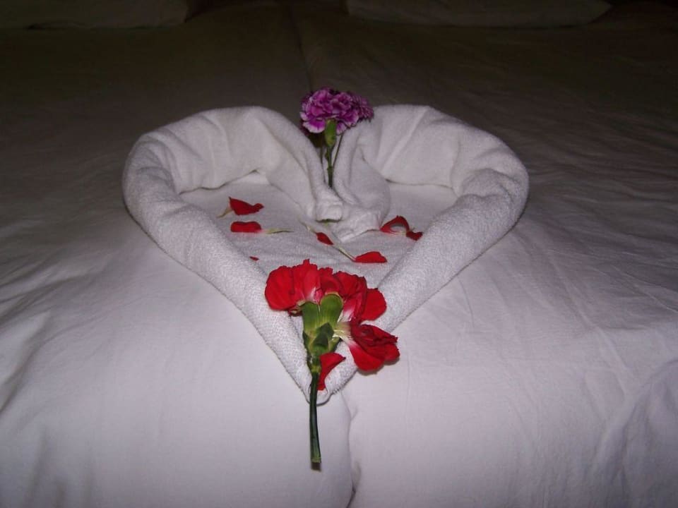 Ohne Trinkgeld Selectum Family Resort Side