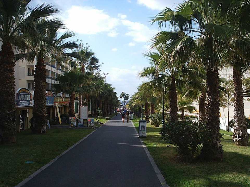 Nächster Weg zum Strand Apartments Optimist Tenerife
