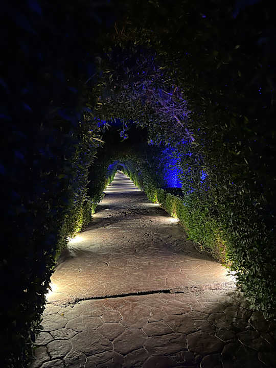 Gartenanlage Fantazia Resort Marsa Alam