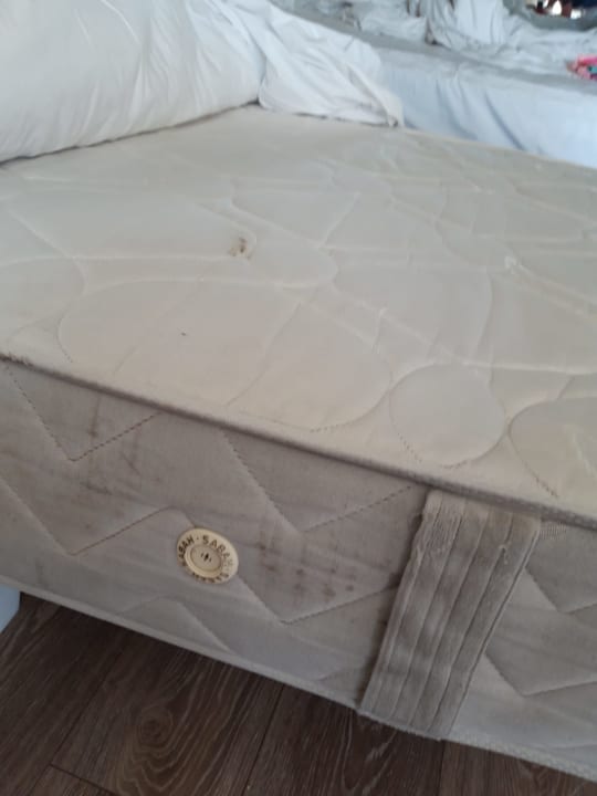 Zimmer Side Star Elegance