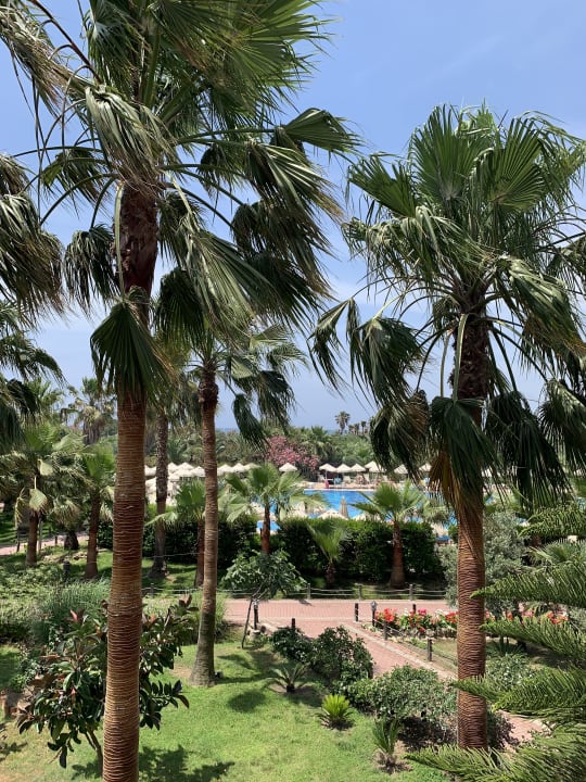 Gartenanlage Seaden Sea World Resort & Spa