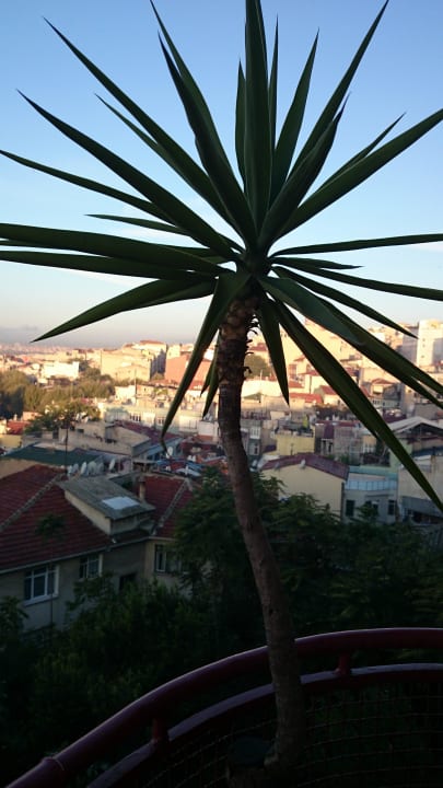 Blick vom Balkon Hotel Tulip House