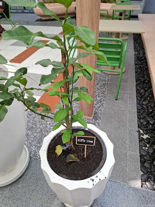 Gastro ASAI Bangkok Chinatown