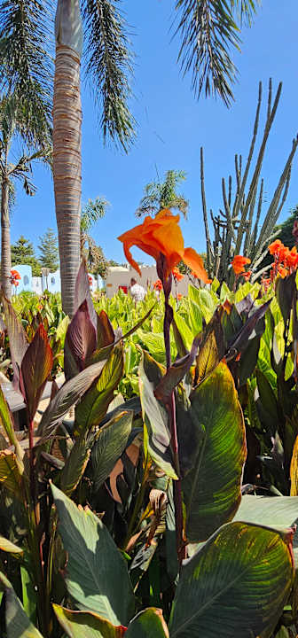 Außenansicht Reef Oasis Beach Resort
