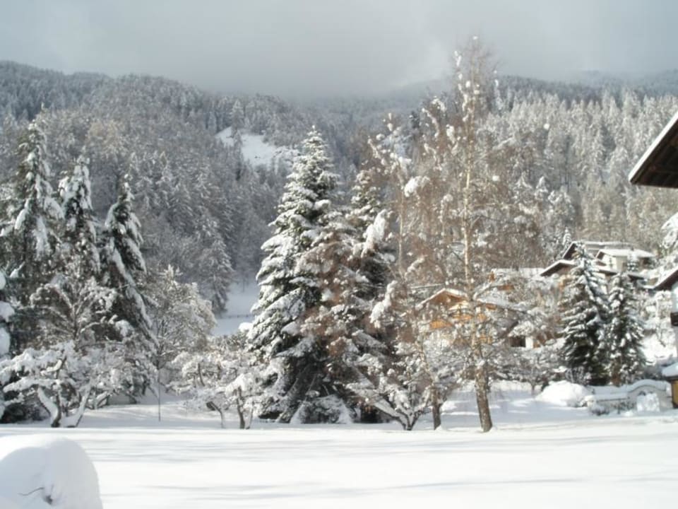 Garten im Winter Der Mohrenwirt