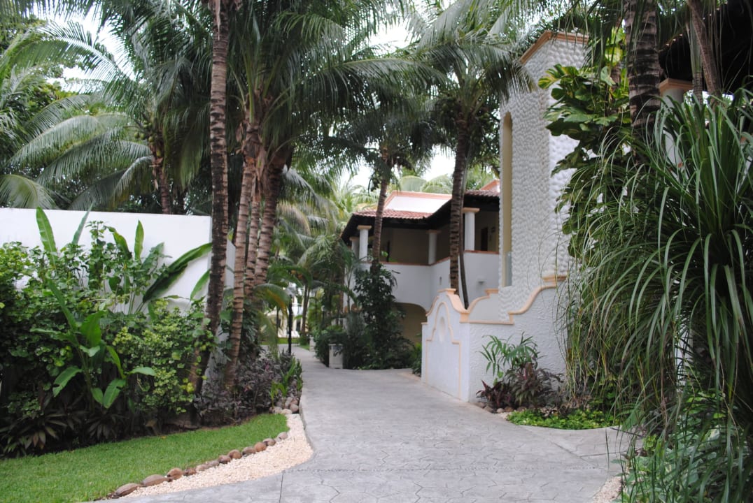 Palmen mit Appartments TUI BLUE El Dorado Seaside Suites