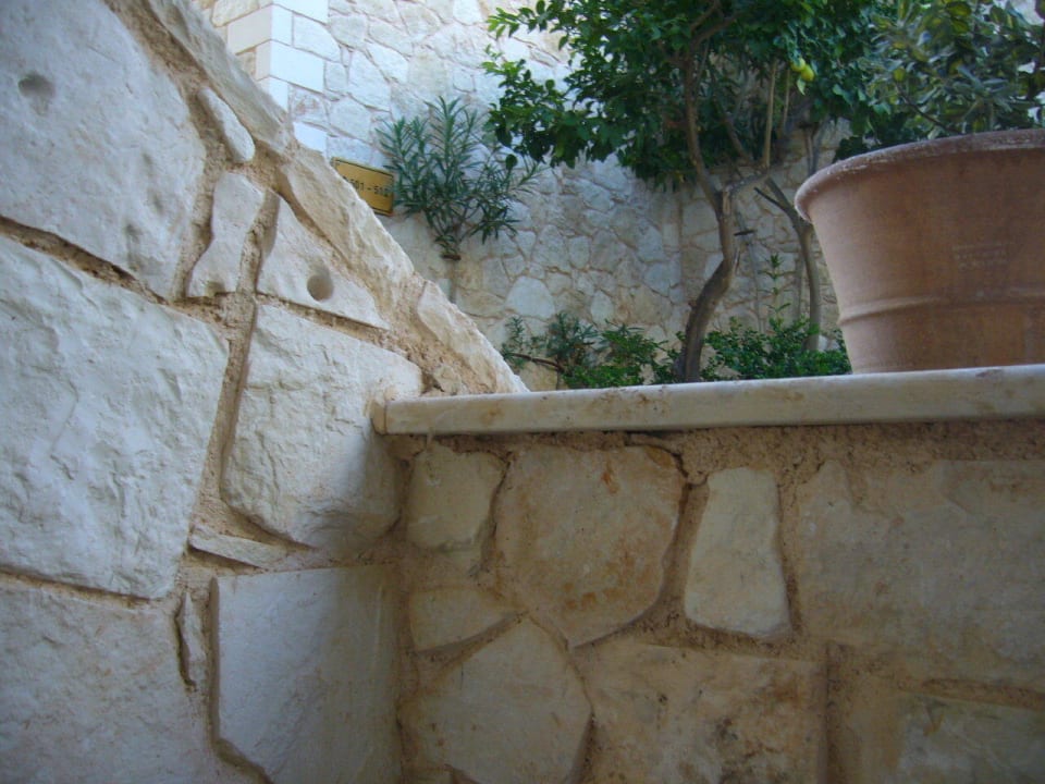 5Sterne Balkon Cactus Royal