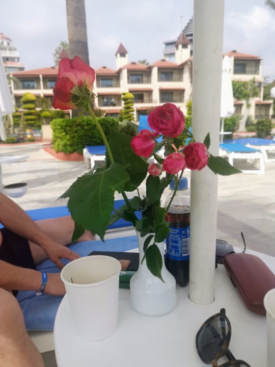 Pool Saphir Hotel & Villas