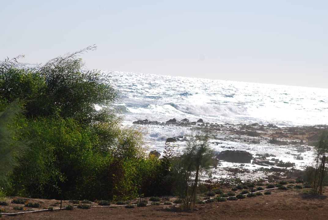 Strand Crystal Springs Beach Hotel