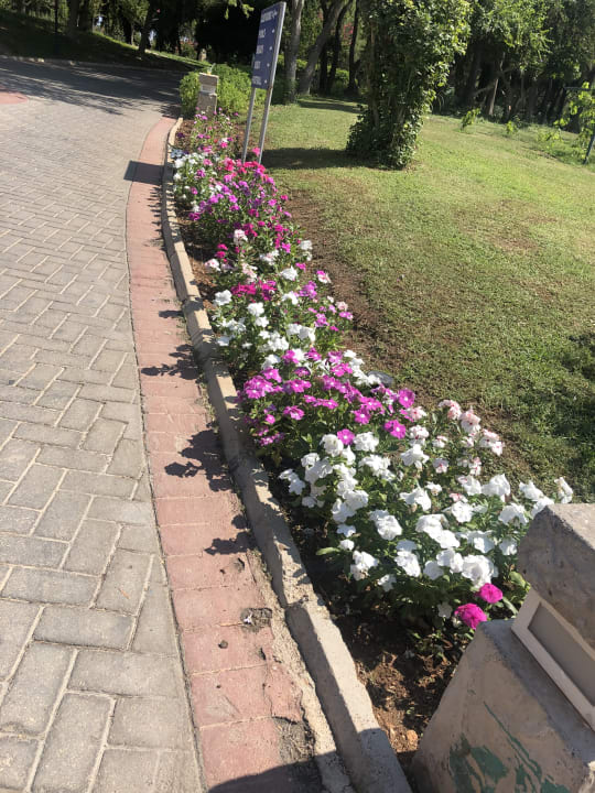 Gartenanlage Belconti Resort Hotel