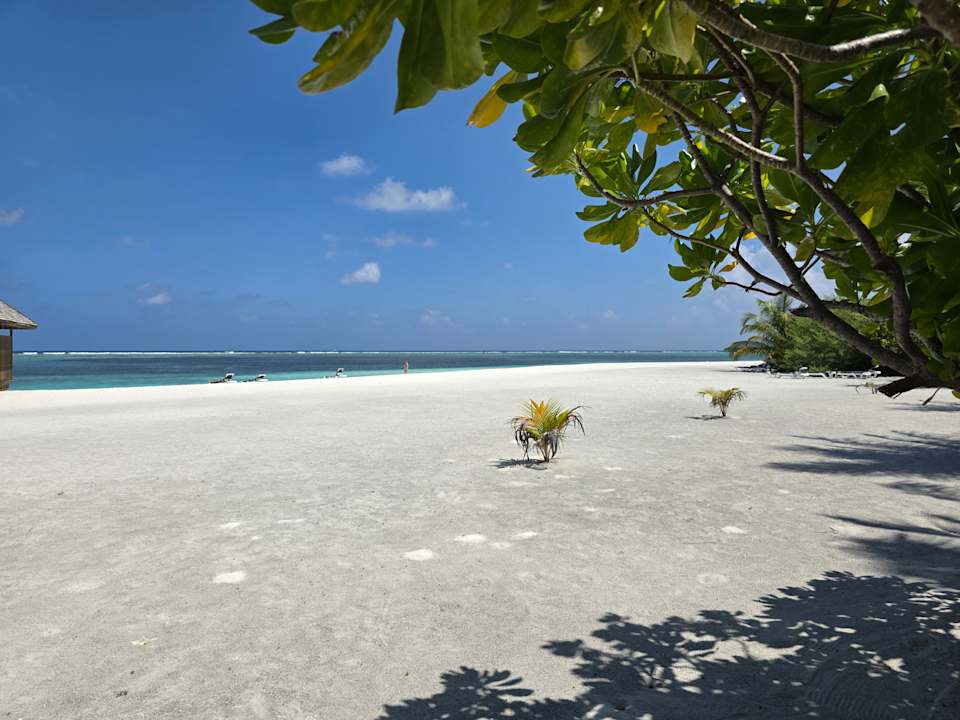 Strand Meeru Maldives Resort Island