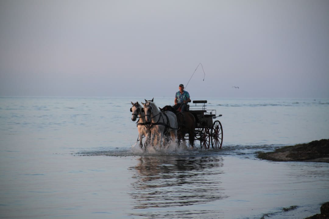 Sport & Freizeit Pension Poeler Findling