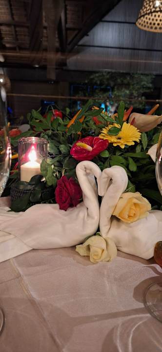 Gartenanlage Lagoon Attitude - Adults only