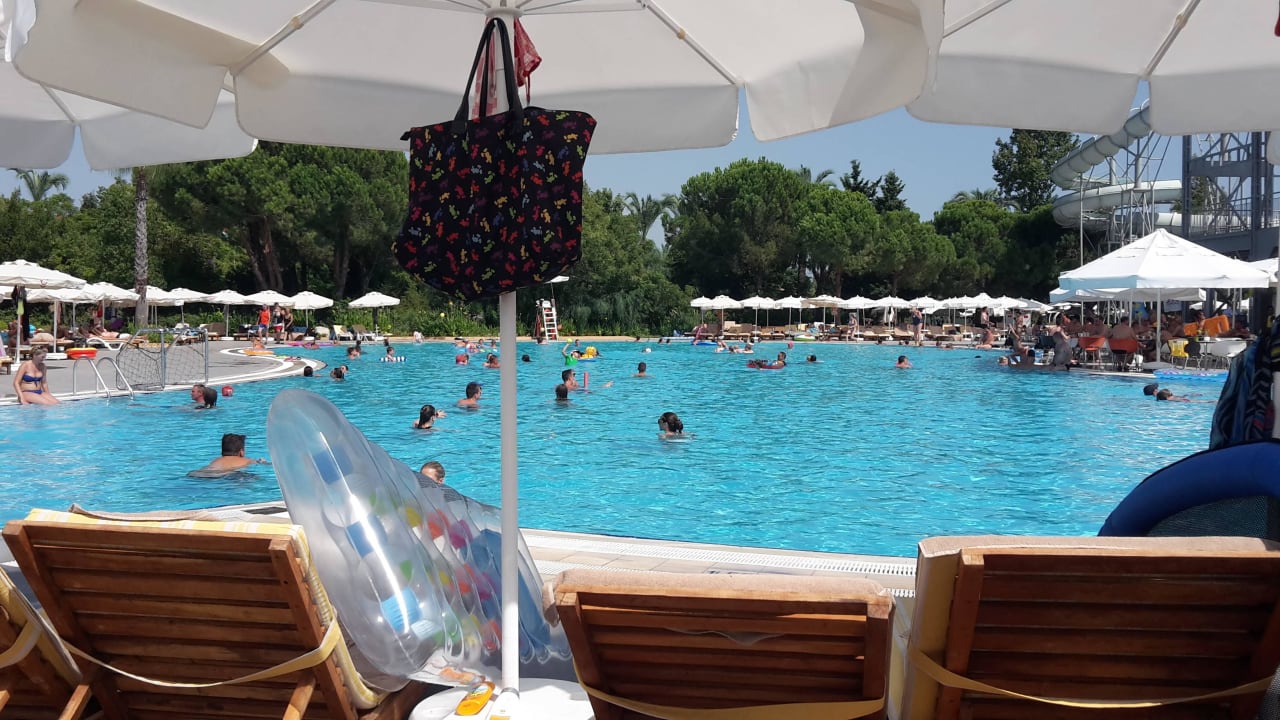 Activity Pool  Asteria Family Belek