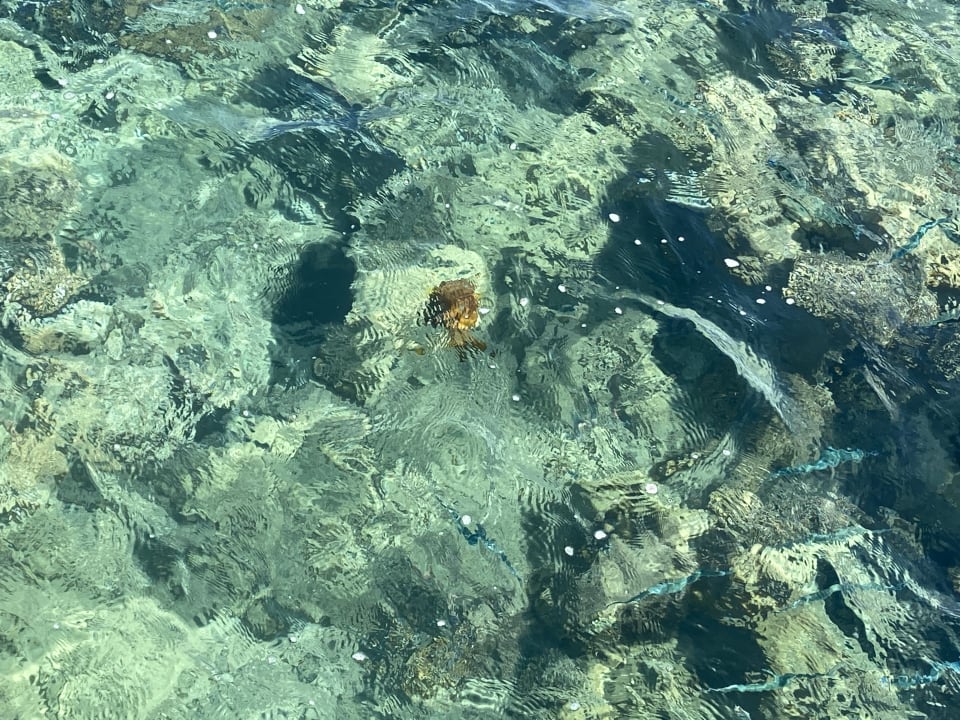 Strand Pickalbatros Alf Leila Wa Leila Resort - Neverland Hurghada