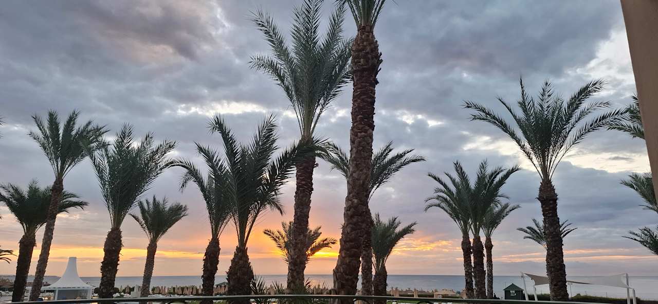 Ausblick Iberostar Waves Averroes