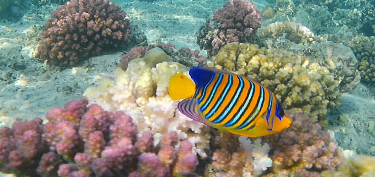 Sport & Freizeit Malikia Resort Abu Dabbab