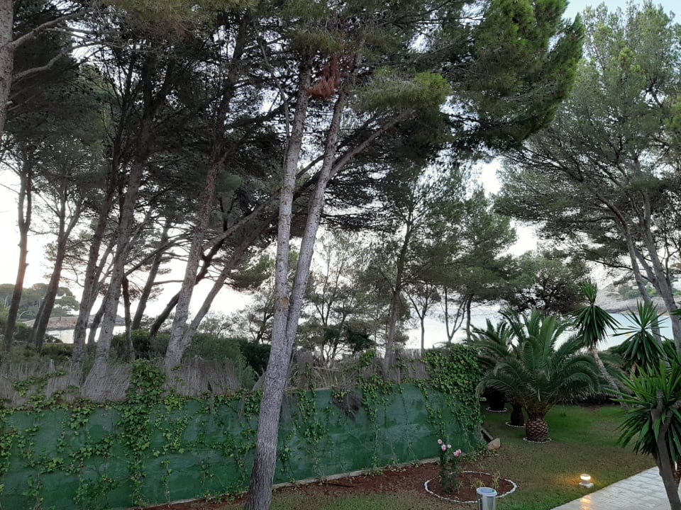 Gartenanlage Iberostar Waves Pinos Park