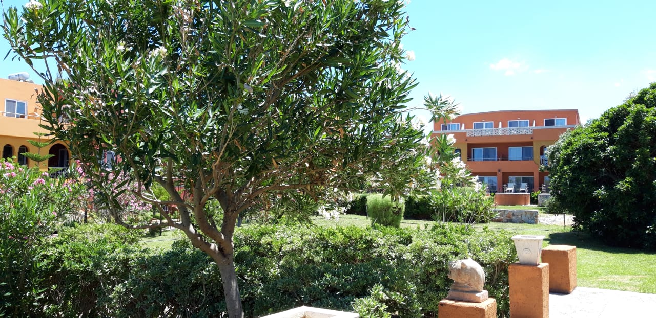 Gartenanlage Orpheas Resort - Adults Only