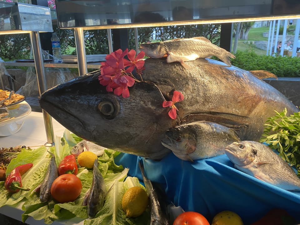 Gastro Monachus Family Resort Sorgun