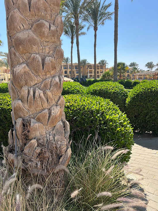 Gartenanlage Jaz Solaya