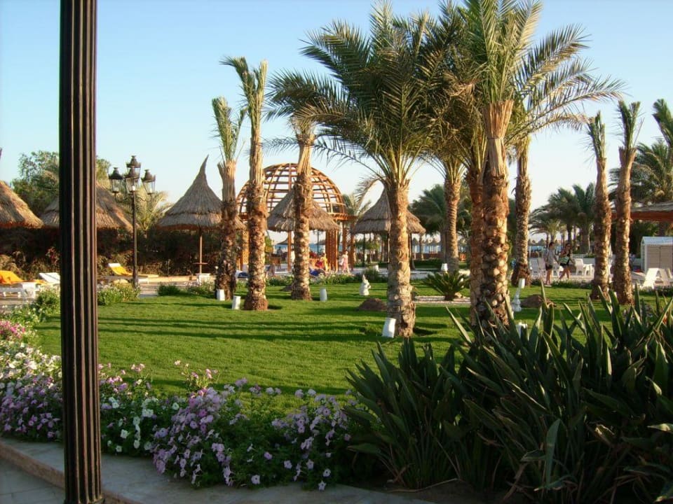 Gartenanlage im Siva Siva Grand Beach
