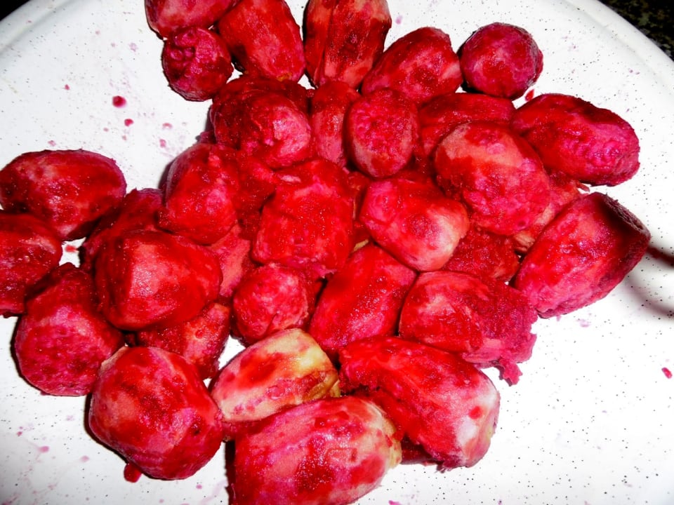 Gastro Hotel Paradis Palace