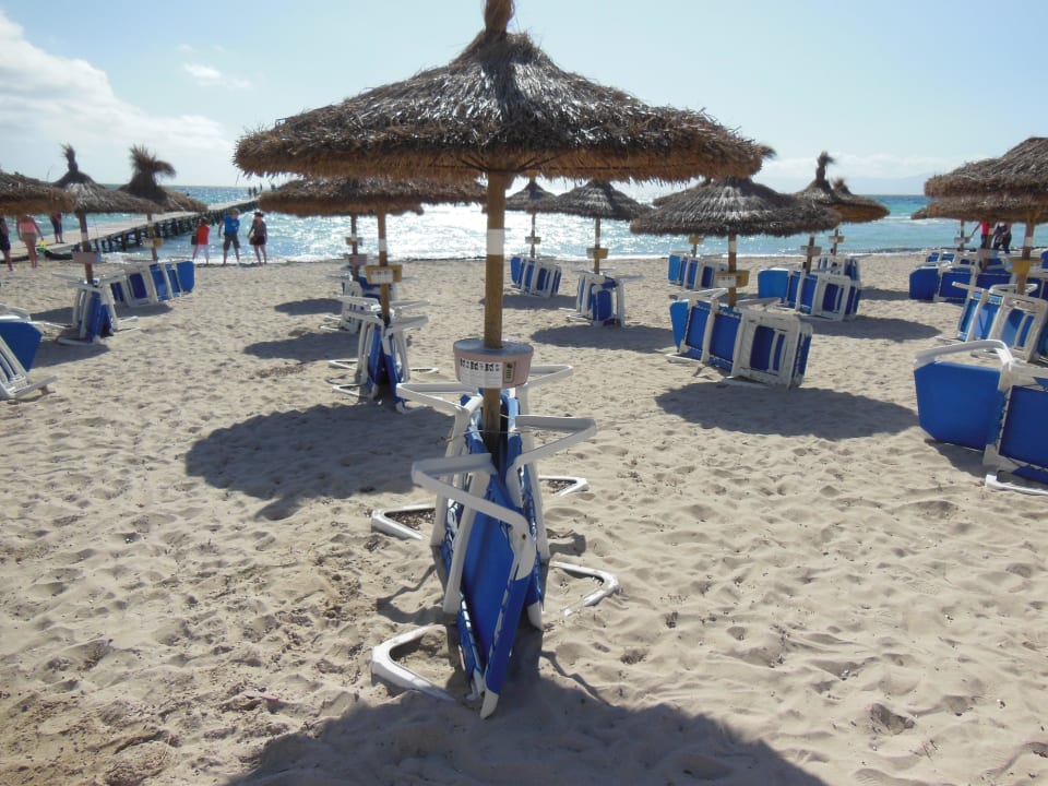 Strand am Morgen Grupotel Los Principes & Spa