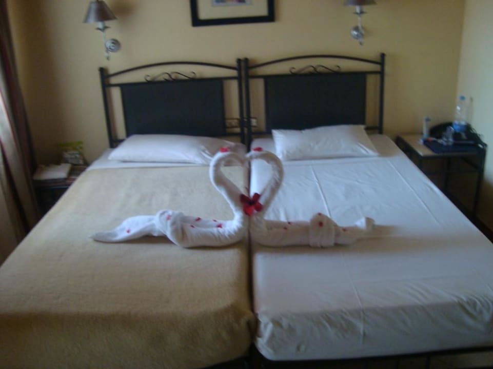 Zimmer Jaz Makadi Oasis Resort