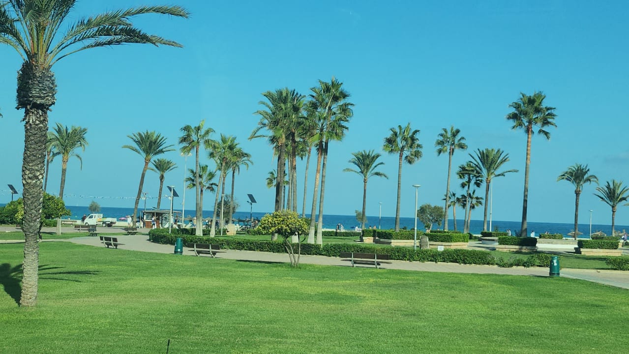 Gartenanlage allsun Hotel Bahia del Este