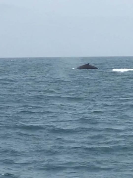 Ausblick Hotel Riu Touareg