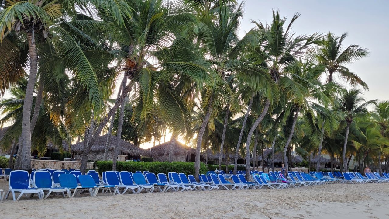 Strand Hotel Viva Dominicus Beach by Wyndham - All Inclusive Resort