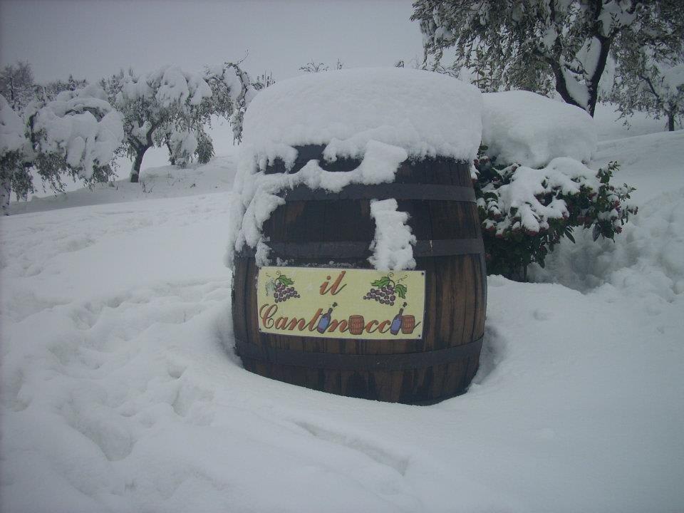 Neve al cantinoccio B&B Il Cantinoccio