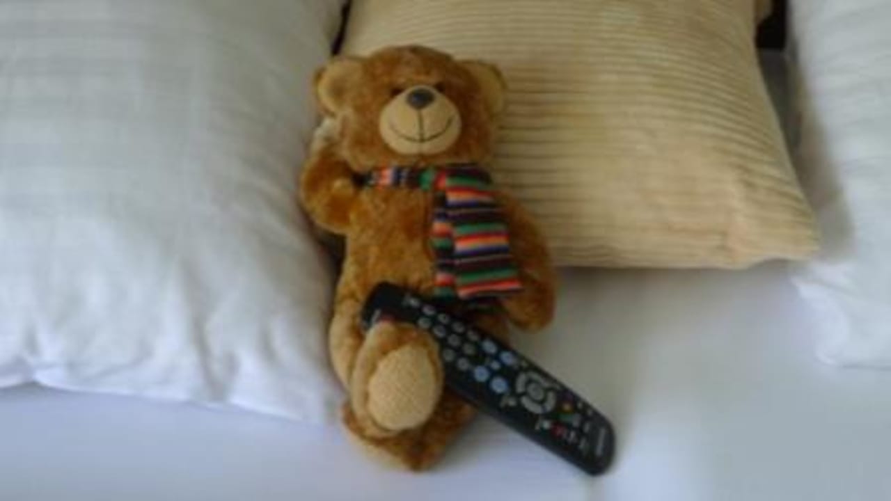 Wanderteddy Hotel Eden