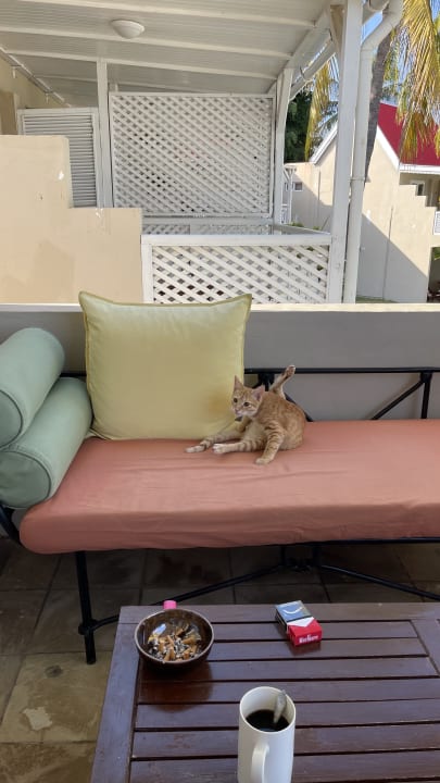 Zimmer Hotel Villas Caroline