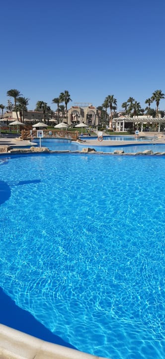 Pool Beach Albatros Resort