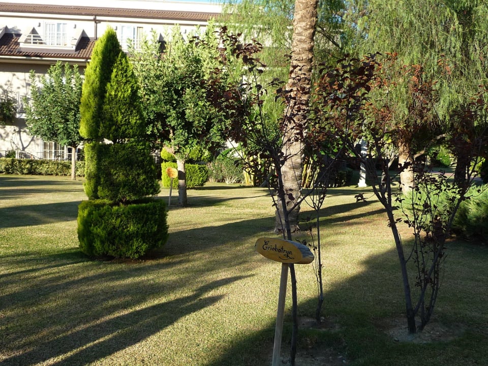 Gartenanlage Sunis Elita Beach Resort & Spa