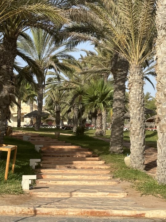 Gartenanlage Les Quatres Saisons & Thalasso Djerba