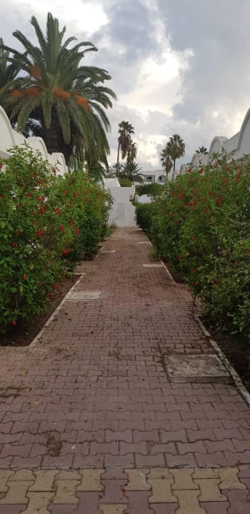 Gartenanlage El Mouradi Club Kantaoui