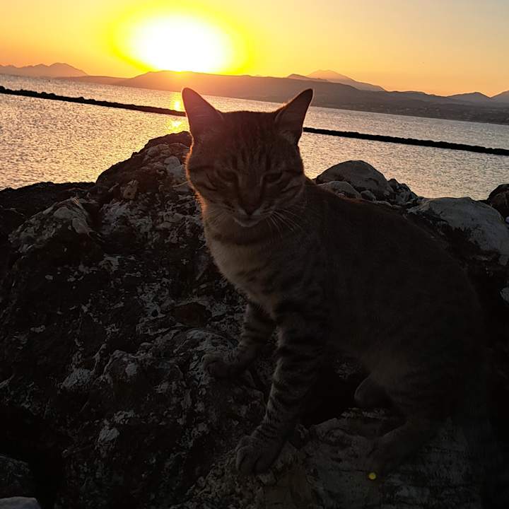 Sonstiges Hotel Corissia Princess