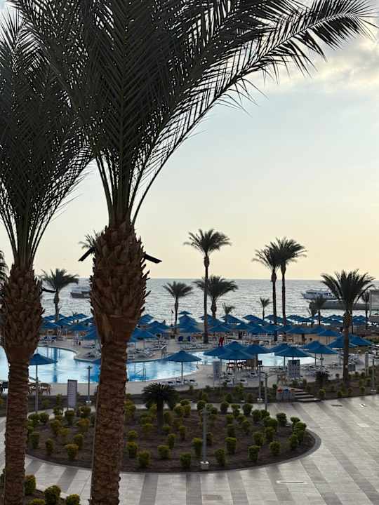 Ausblick Beach Albatros Resort