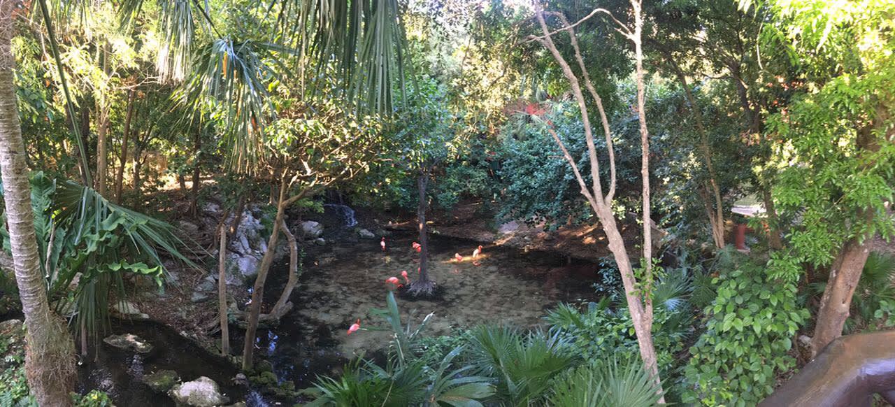 Gartenanlage Iberostar Waves Tucan