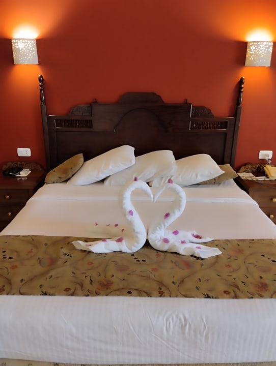 Zimmer Jasmine Palace Resort & Spa