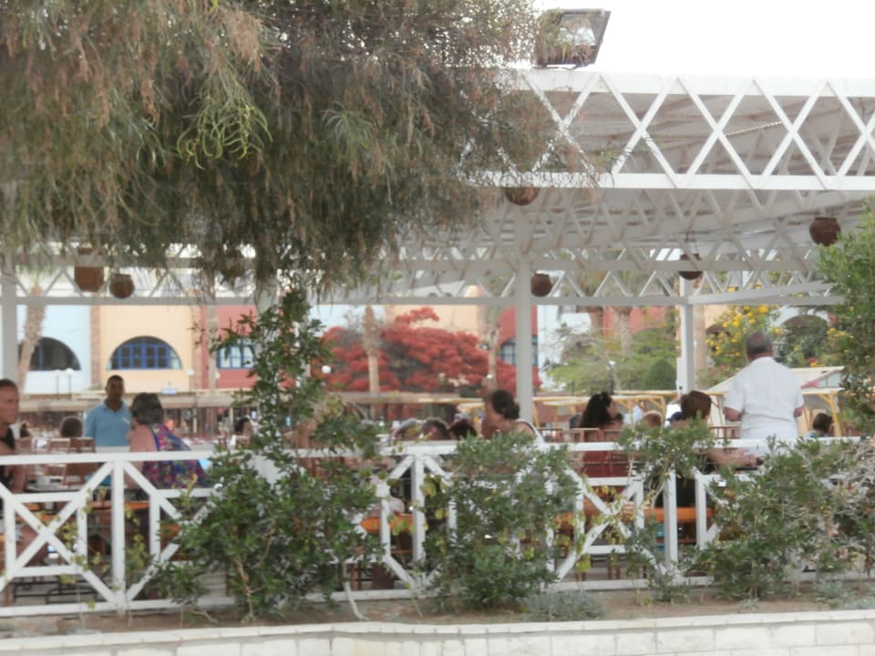 Poolbar Arabia Azur Resort