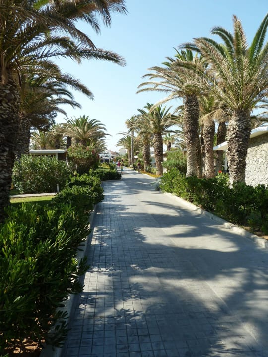 Allee Civitel Creta Beach
