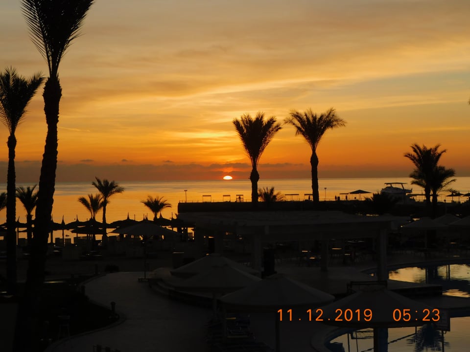 Ausblick Beach Albatros Resort